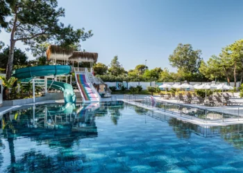 Fly – Twój inteligentny towarzysz podróży i rezerwacji lotów