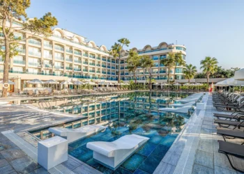 Introduction: Ready for Takeoff? Here’s How “Fly” Simplifies Travel