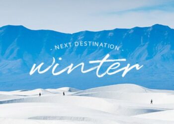 eDreams: Transforming the Way We Travel