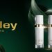 Sisley: A Legacy of Botanical Innovation and Refined Luxury