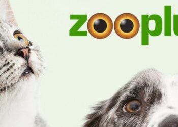 Zooplus – cyfrowa rewolucja w świecie produktów dla zwierząt