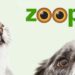 Zooplus – cyfrowa rewolucja w świecie produktów dla zwierząt