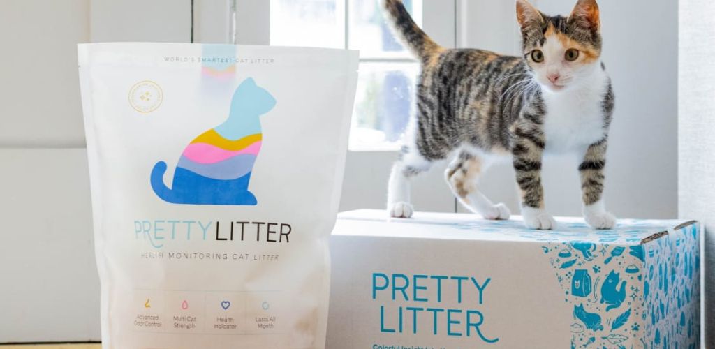 PrettyLittler: Revolutionizing Cat Care with Smart, Health-Monitoring Cat Litter
