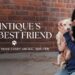 Printique: Transforming Memories into Premium Photo Products
