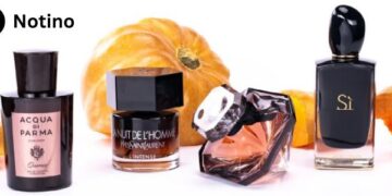 Notino: Belleza, Perfumes y Cuidado Personal al Mejor Estilo