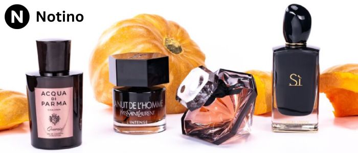 Notino: Belleza, Perfumes y Cuidado Personal al Mejor Estilo