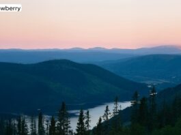 Strawberry Hotels: Experience Comfortable Stays and Memorable Getaways