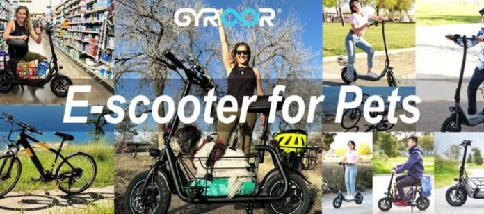 gyroor (1)